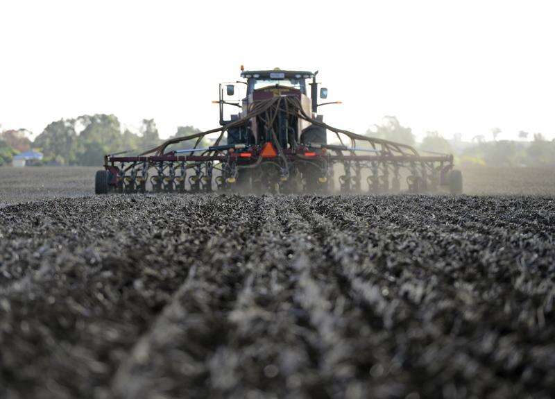 Global pulse market transforming