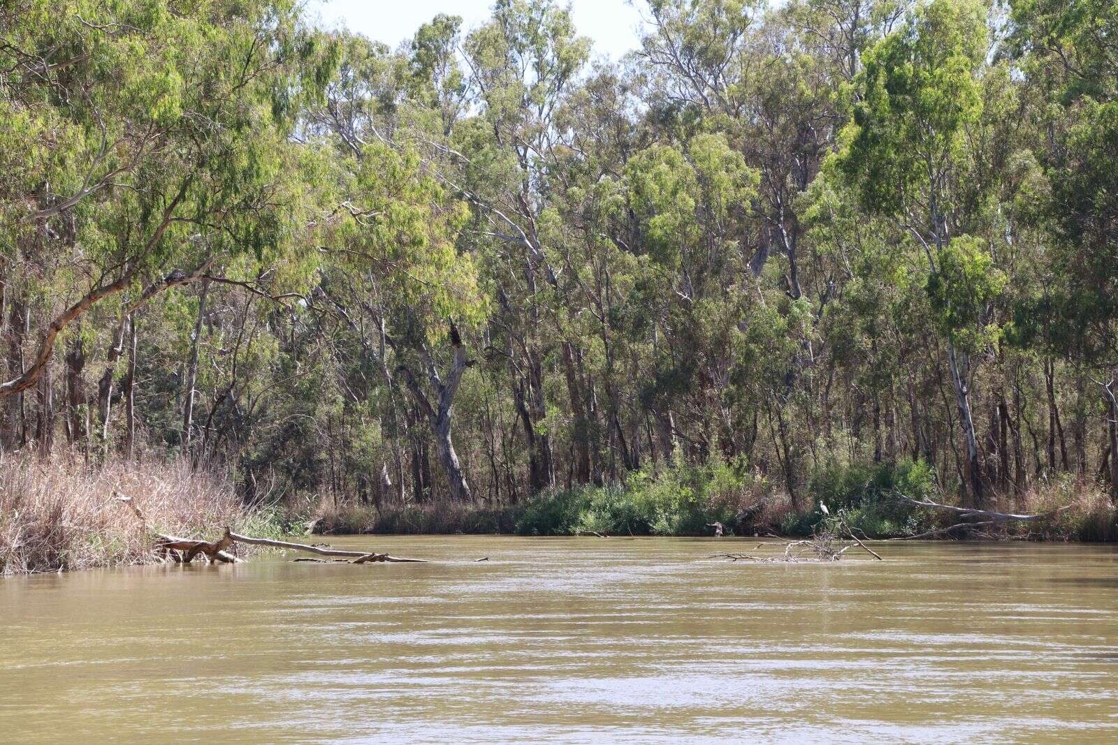 Environment water rejected