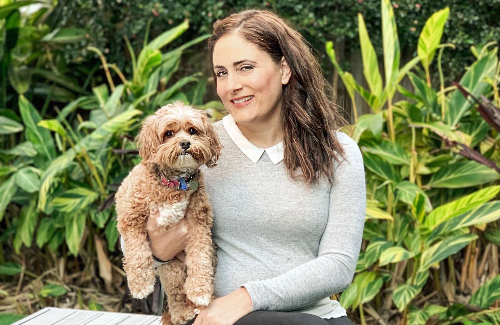 New registry aims to boost reunification with lost pets