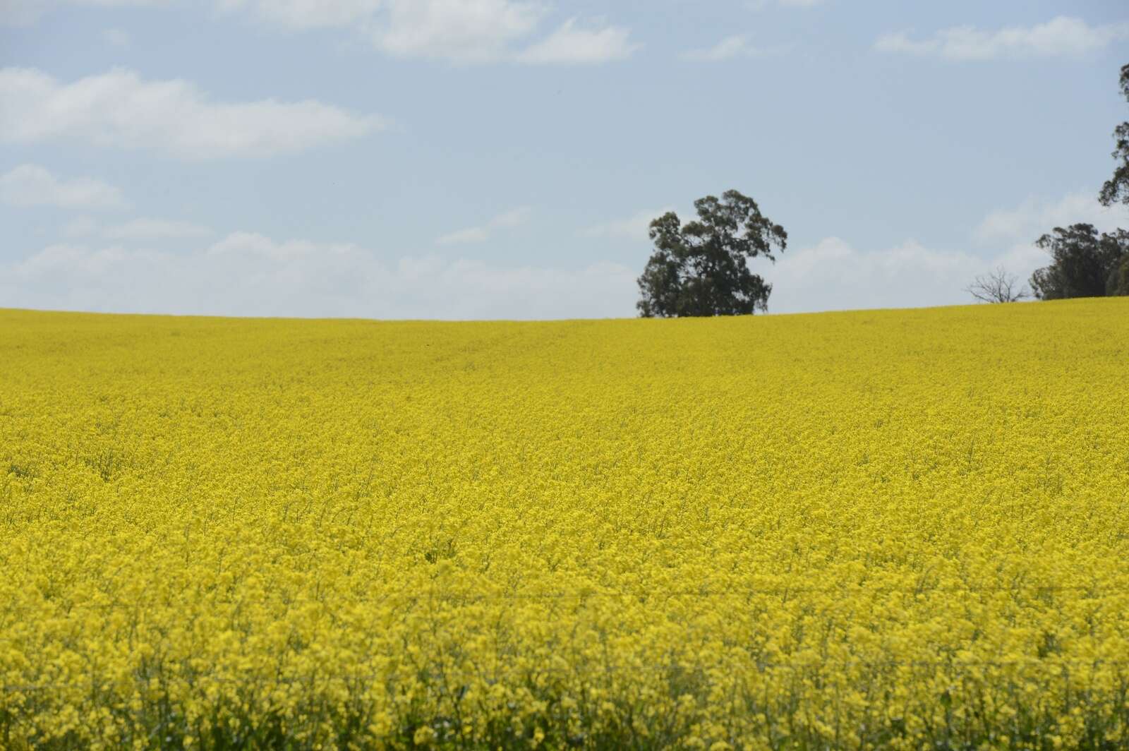 Bright spots amid volatility