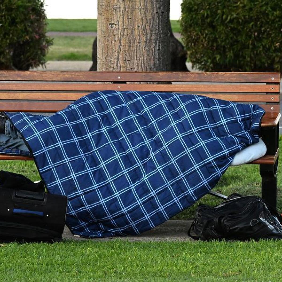 A survey found 2037 people sleeping rough in NSW in February.