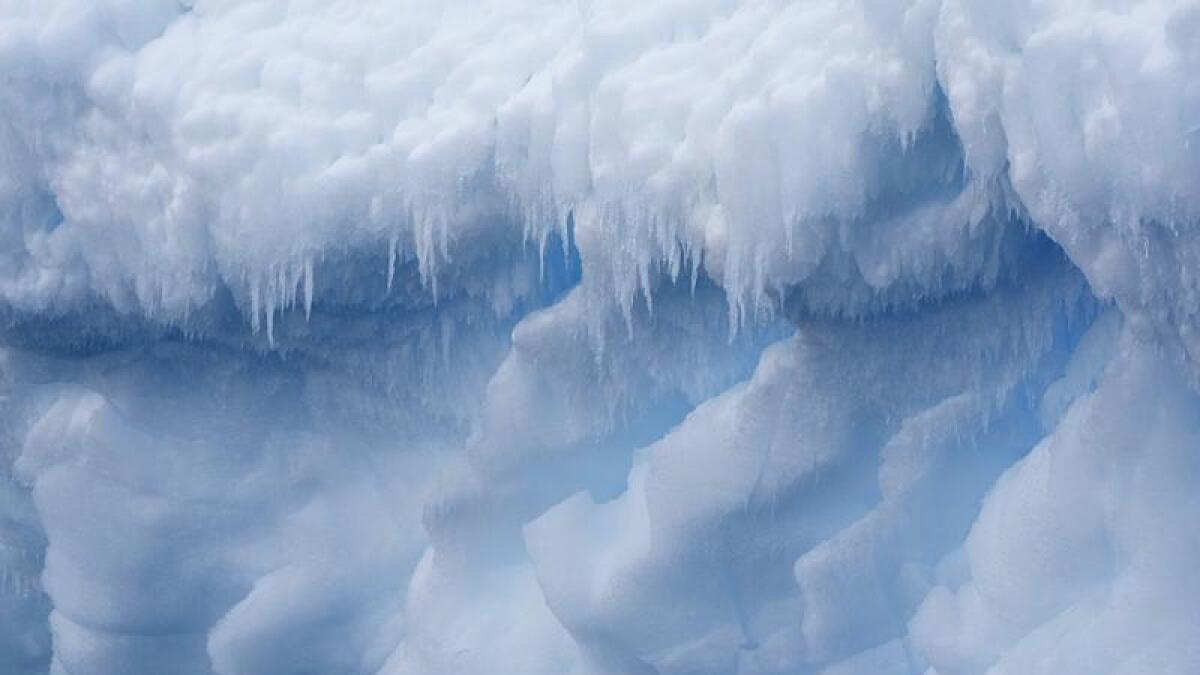 Ice floats on the Bransfield Strait in Antarctica
