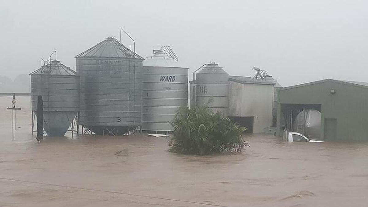 Floodwaters inundate a dairy farm near Lismore, NSW.