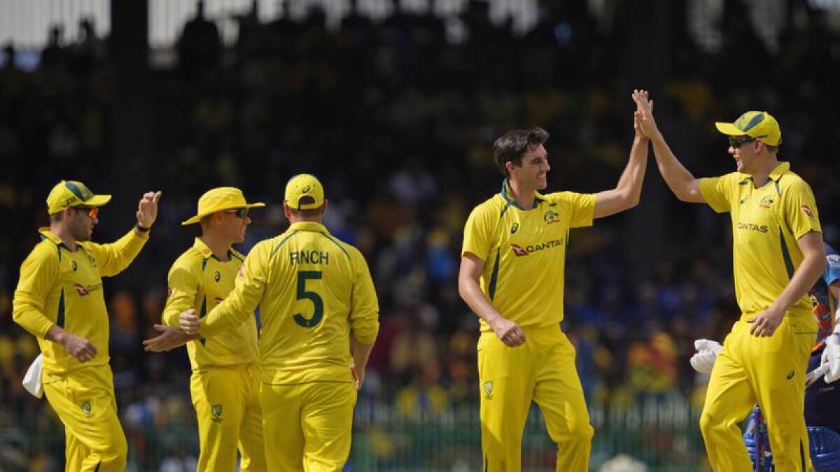 Australian's celebrate a wicket.