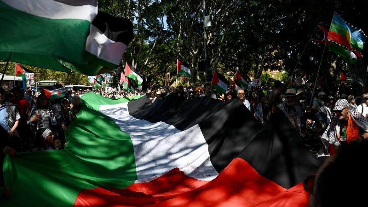 Protesters hold the Palestinian flag