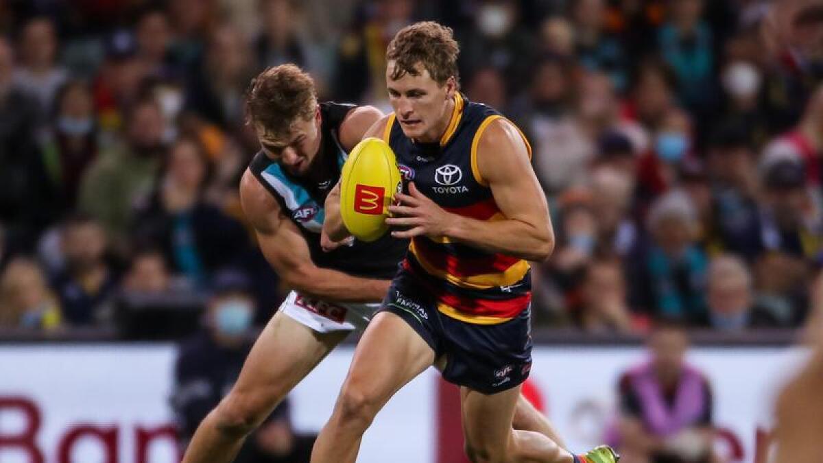 Port Adelaide Crows