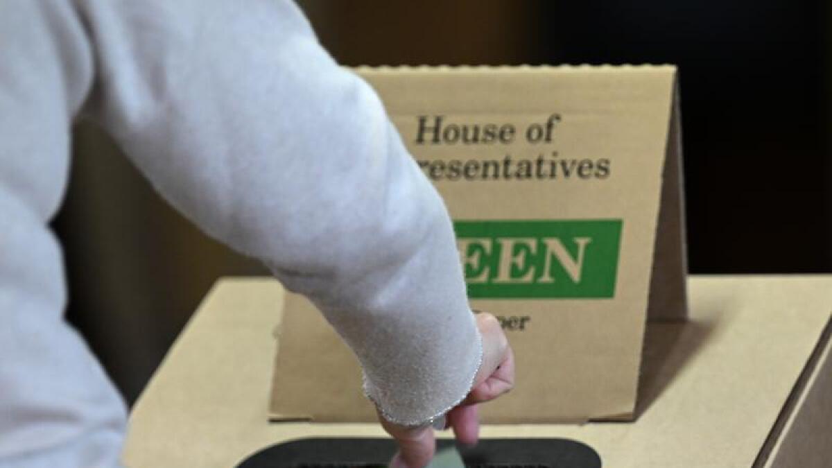Voter casts ballot for the House of Representatives.