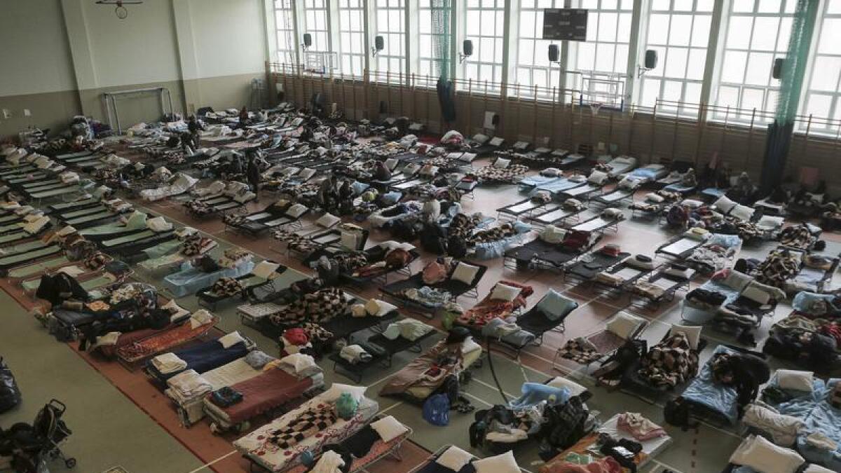 Beds in a Polish sports hall to accommodate Ukrainian refugees.