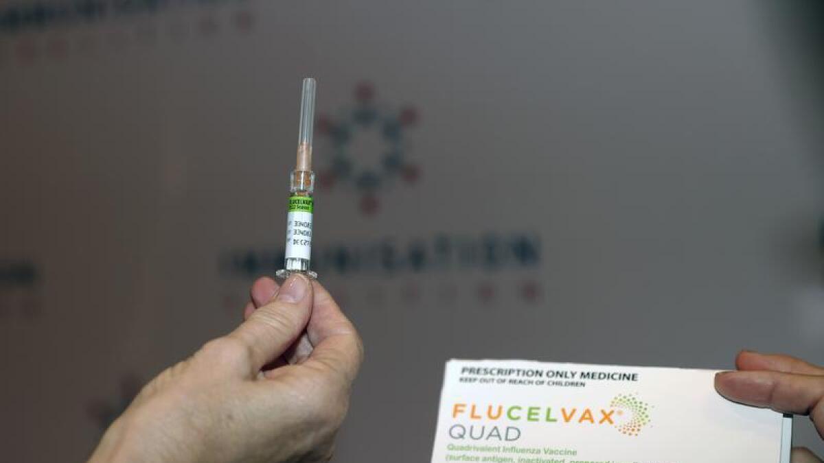 The flu vaccine (file)
