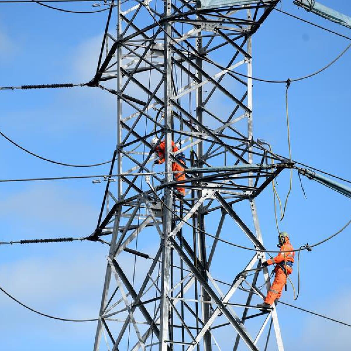 Workers on an electricity pylon in suburban Sydney (file image)