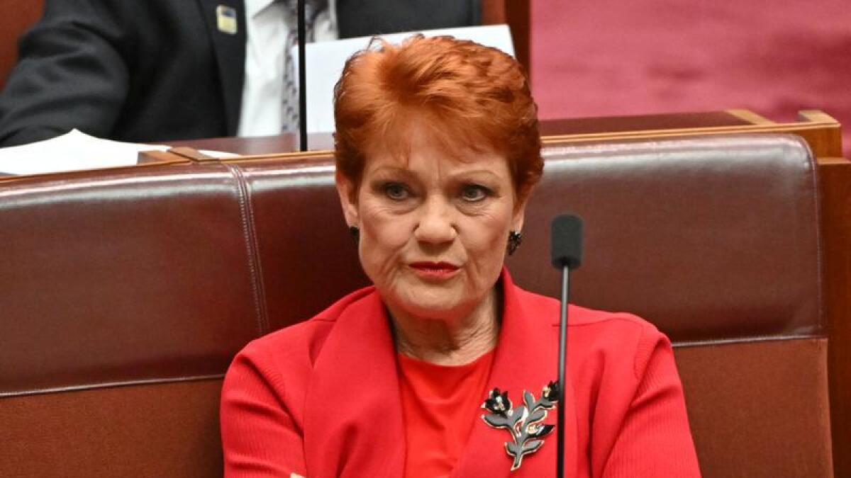 One Nation leader Pauline Hanson in the Senat