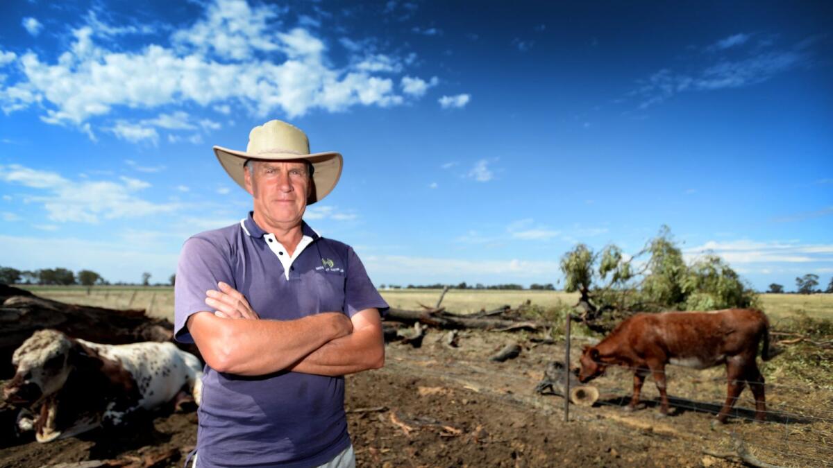 A man standing with his arms crossed with a cow and dead fallen tree in the background of his farm.
