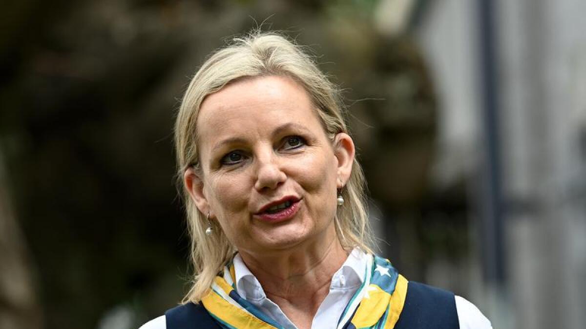Minister for the Environment Sussan Ley (file image)