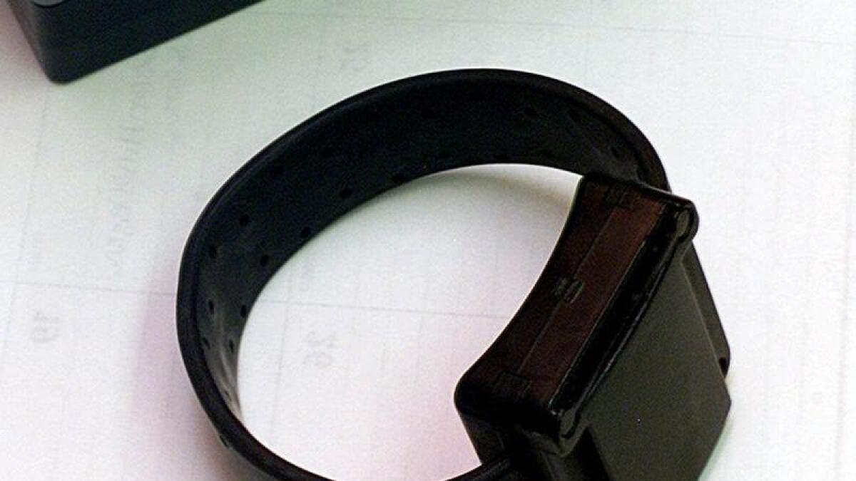Ankle bracelet (file image)