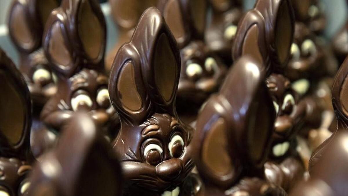 Chocolate rabbits.