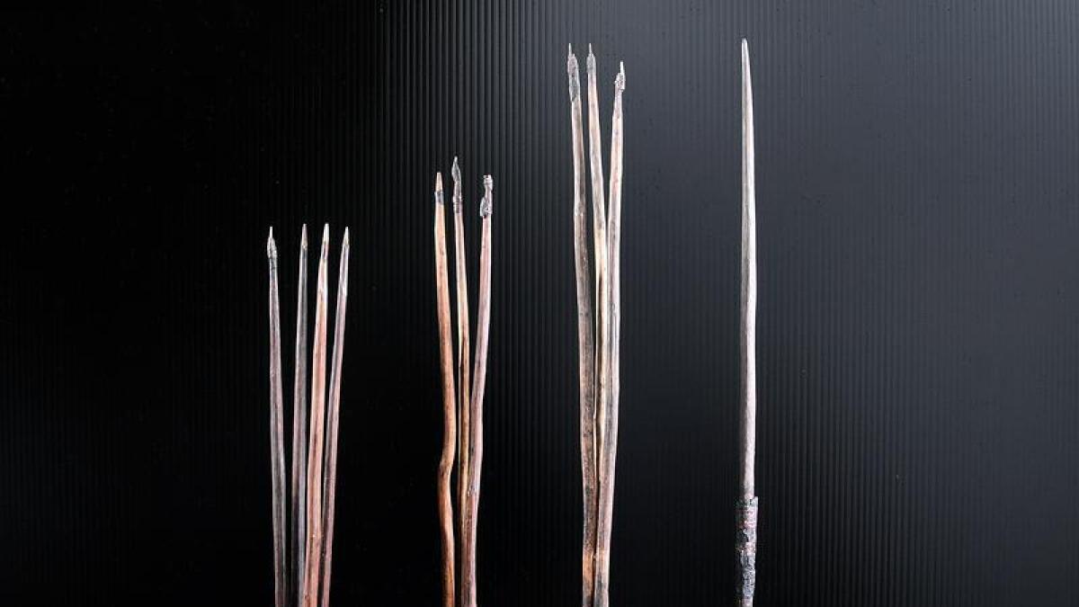 A photograph of the four historic spears (file image)