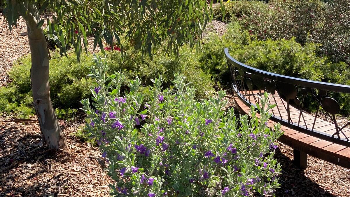 Botanical gardens are thriving |  Shepparton News