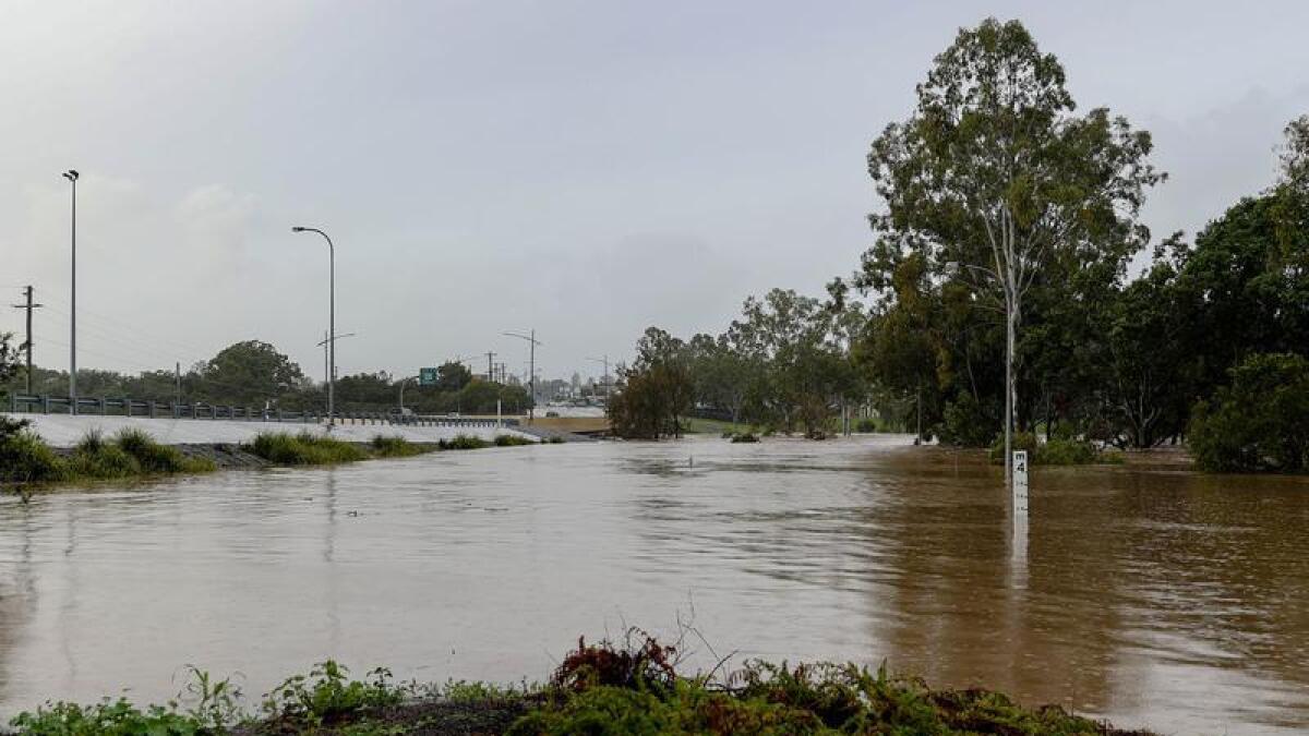 The body of a man has been found in a flooded area of Queensland.