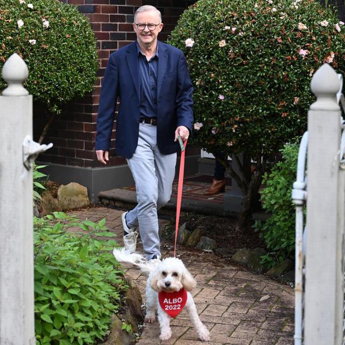 Prime Minister-elect Anthony Albanese leaves his house with Toto.
