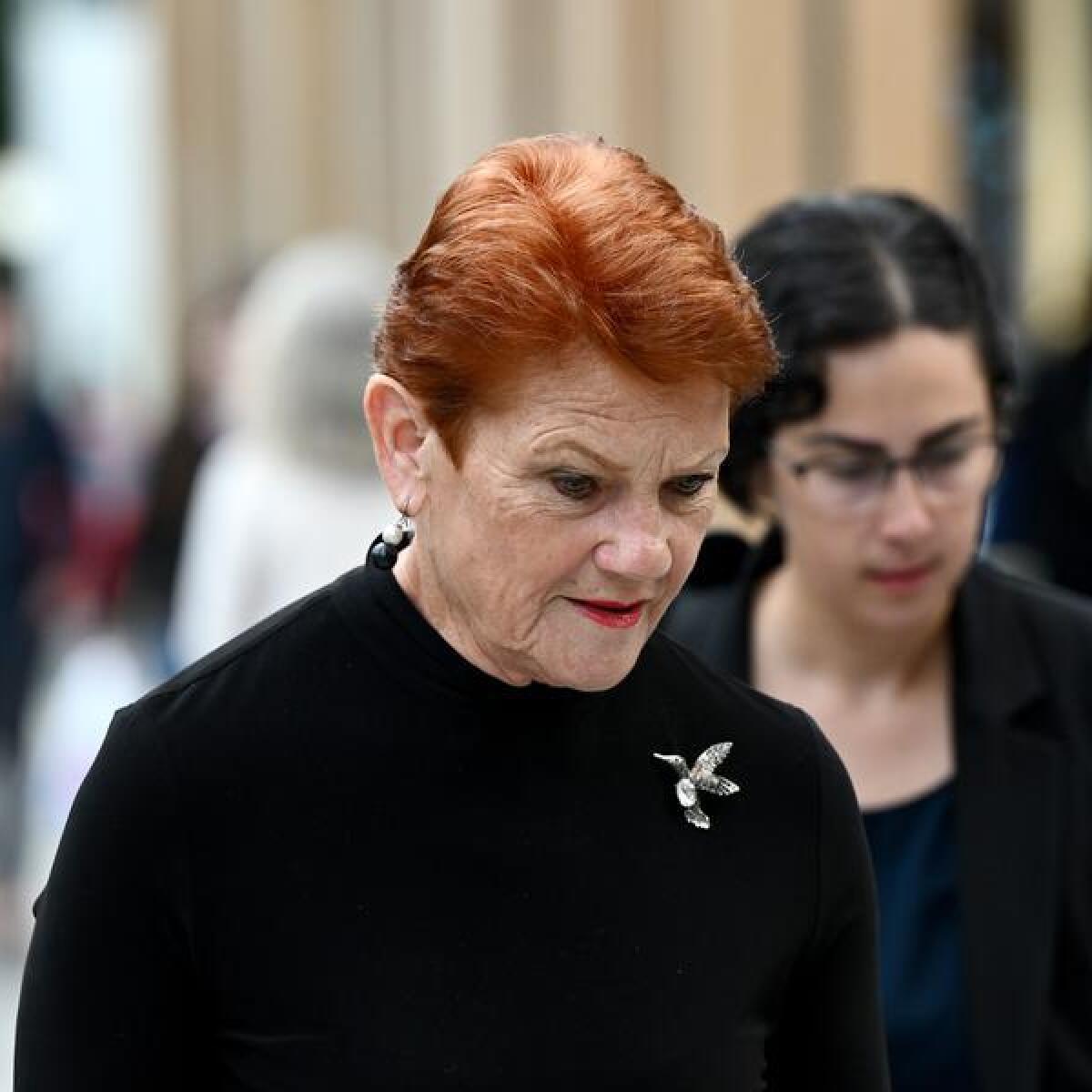Pauline Hanson outside court
