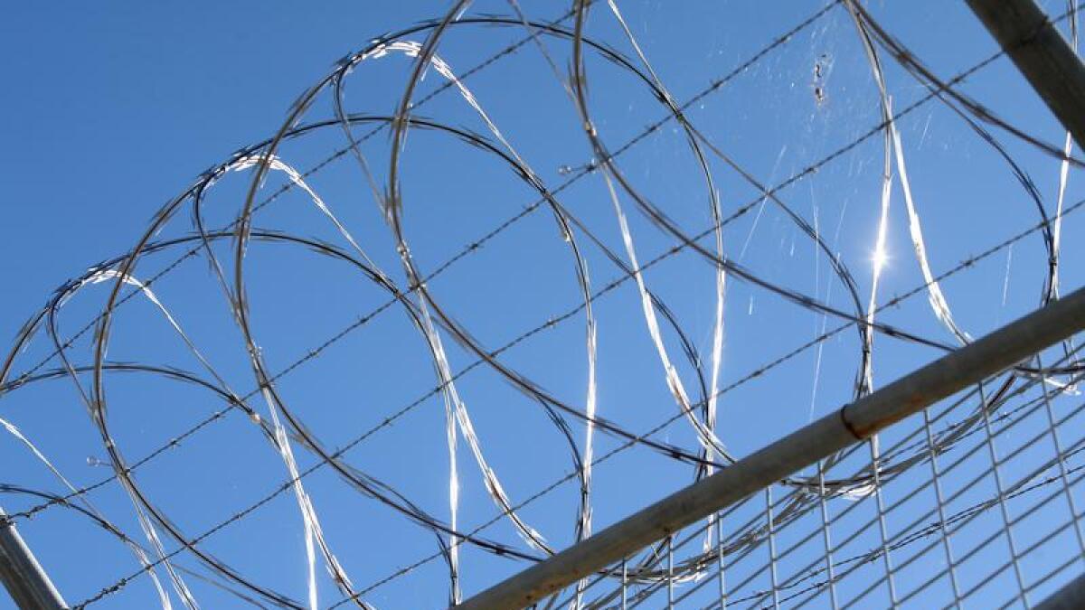 Prison stock image of razor wire
