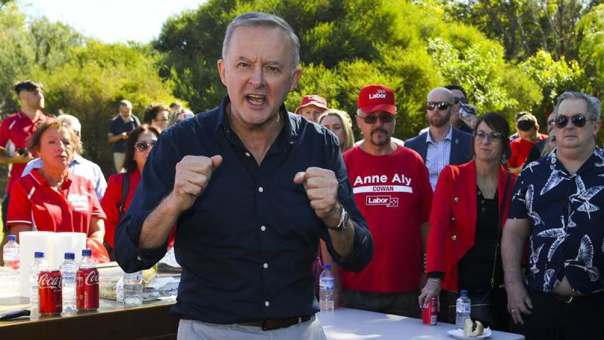 Anthony Albanese with Labor party volunteers in Perth