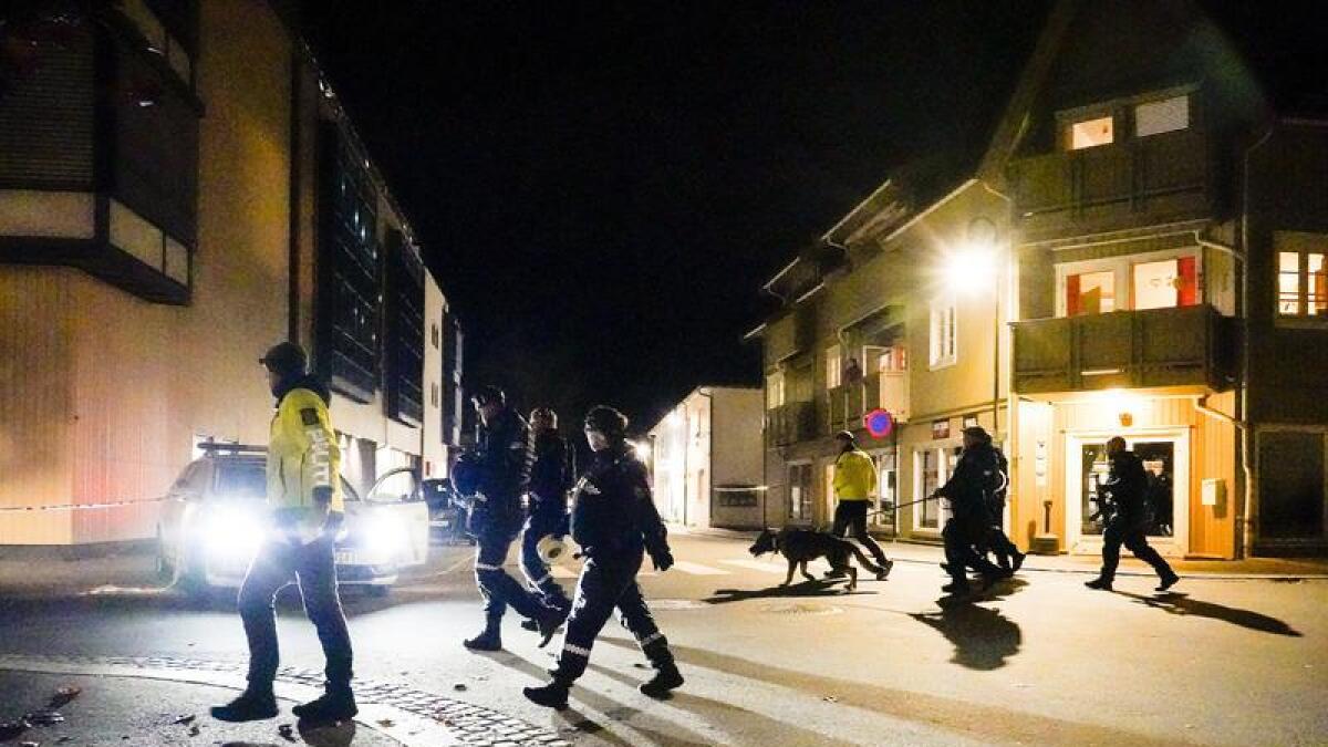 A bow-and-arrow rampage left five people dead in Norway.