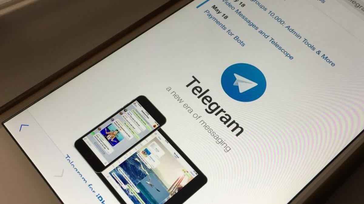 The messaging app Telegram (file image)