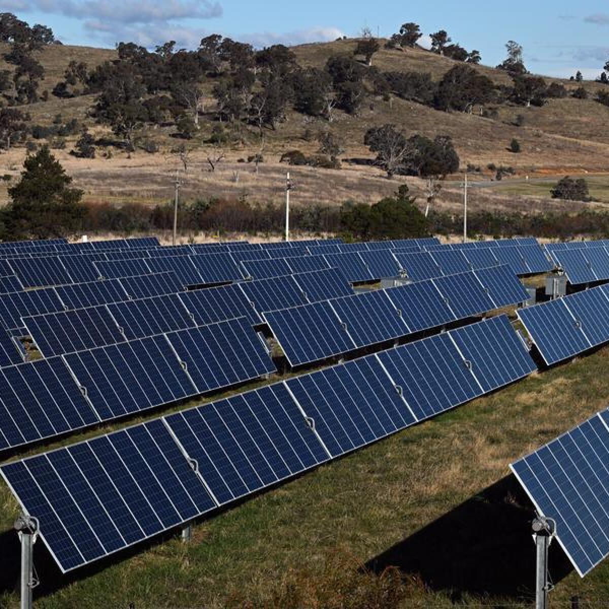 Solar panels at a solar farm on the northern outskirts of Canberra