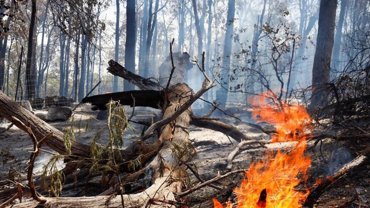 Bushfire near Perth (file image)