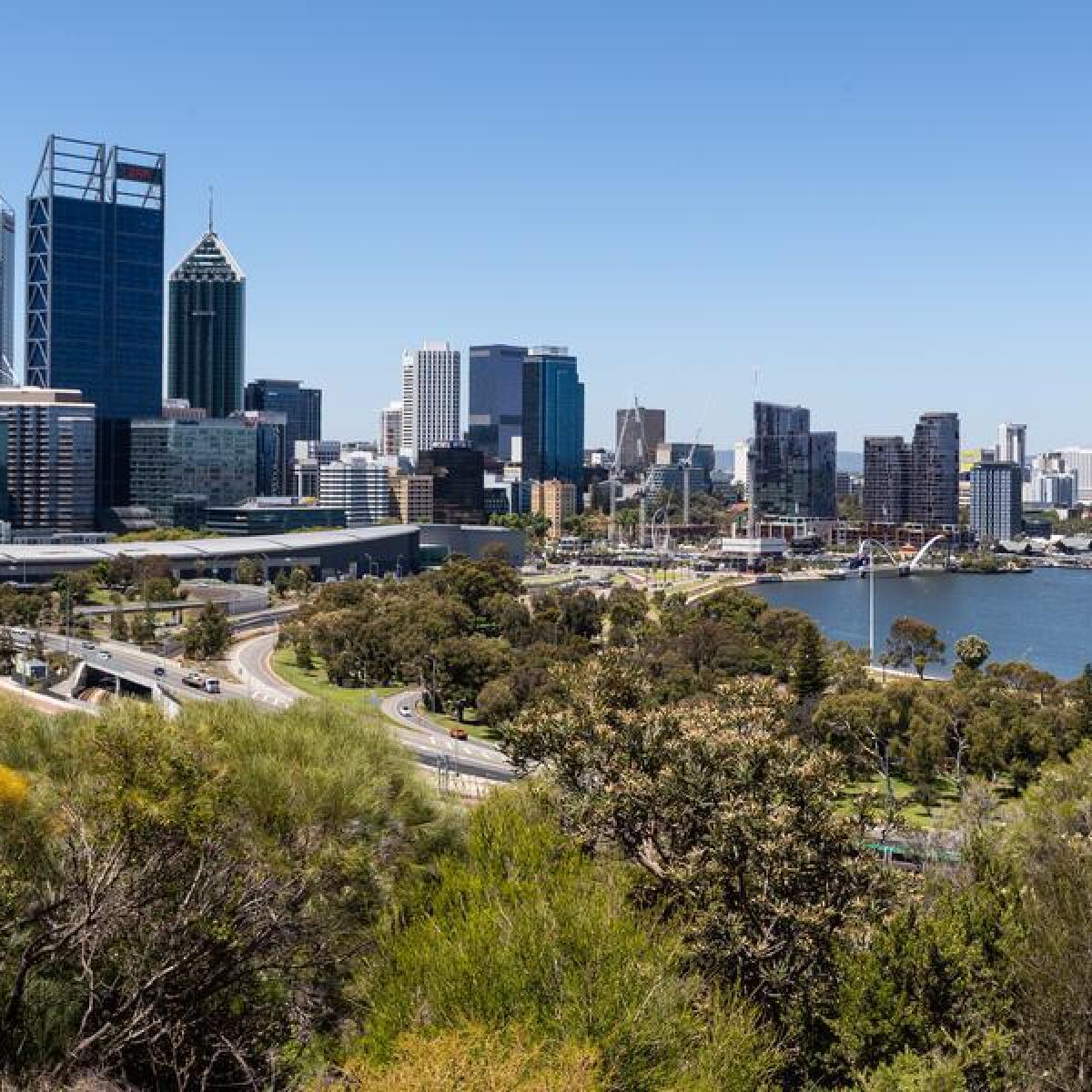 A general view of Perth from Kings Park (file image)