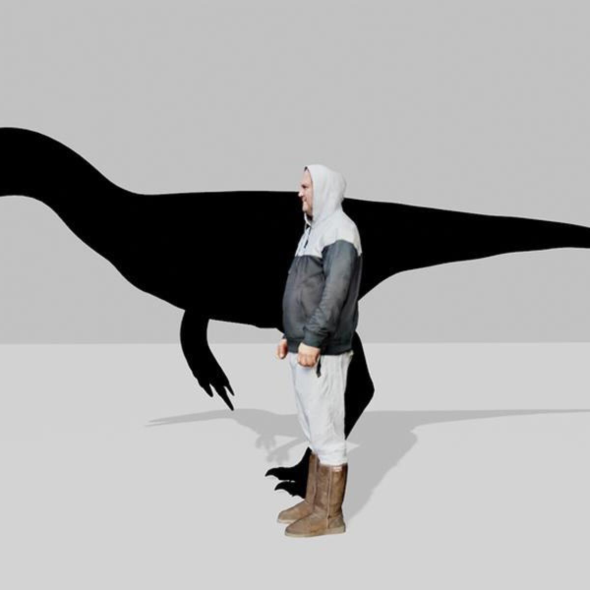 Size comparison between a human and raptor dinosaur