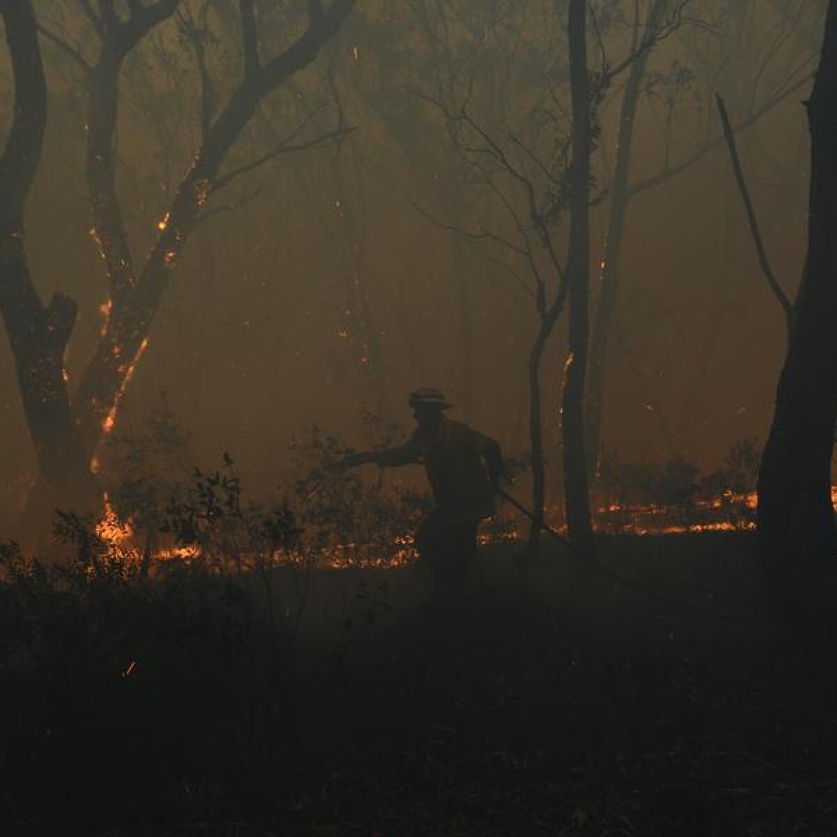 Bushfire (file image)