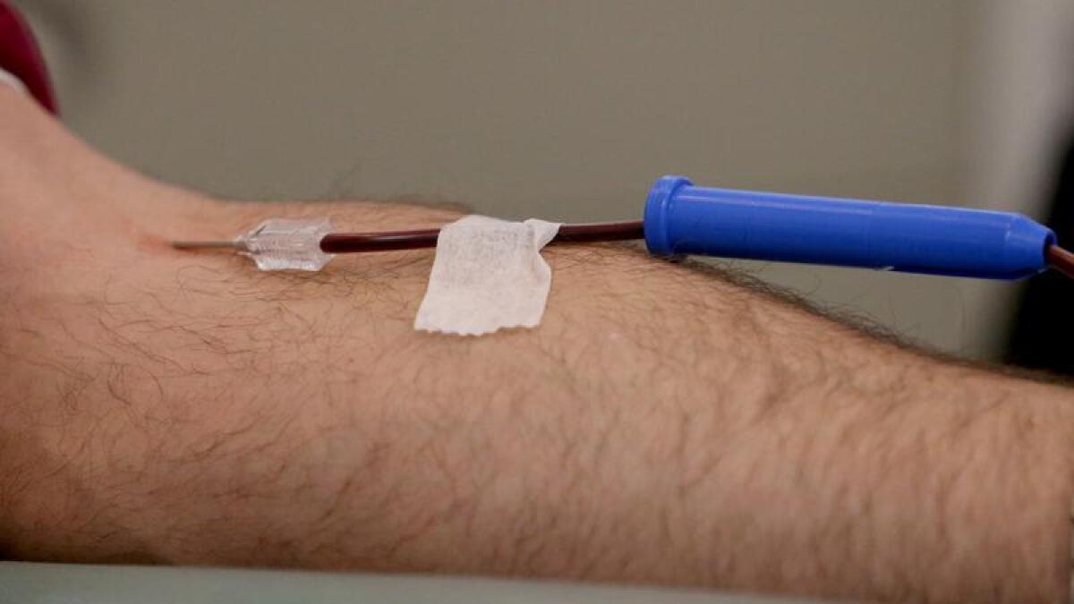 A man gives a blood donation (file image)