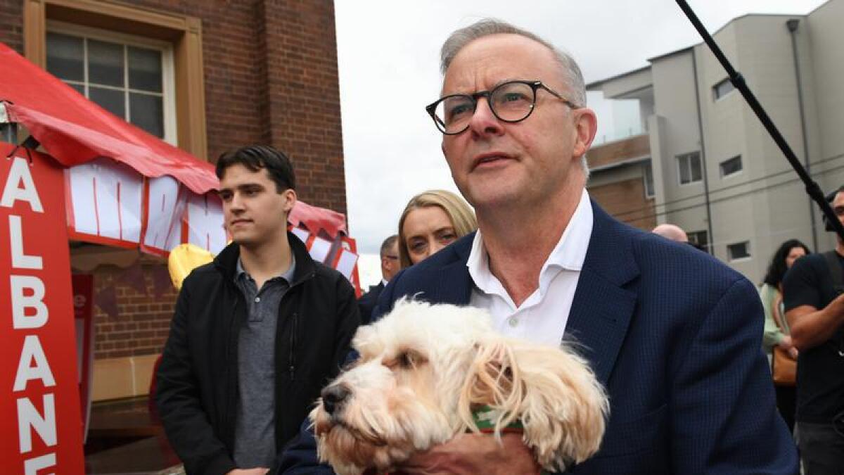 Labor coming in hot ahead of election count.