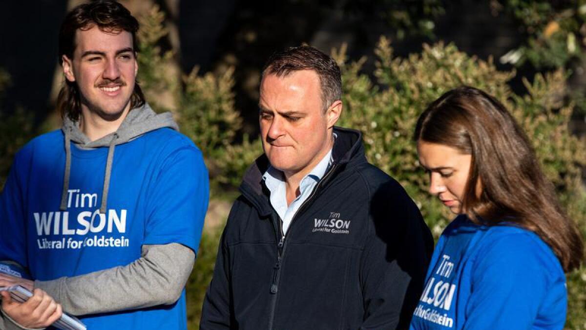 Liberal candidate Tim Wilson on Saturday.