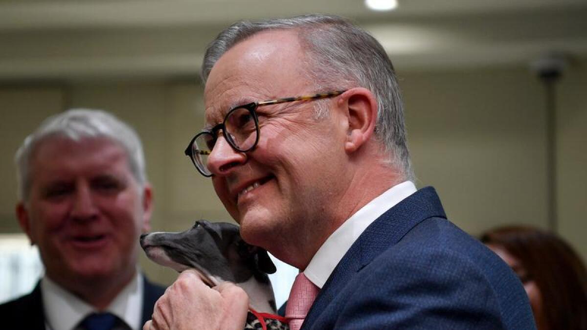 Prime Minister Anthony Albanese holds a dog