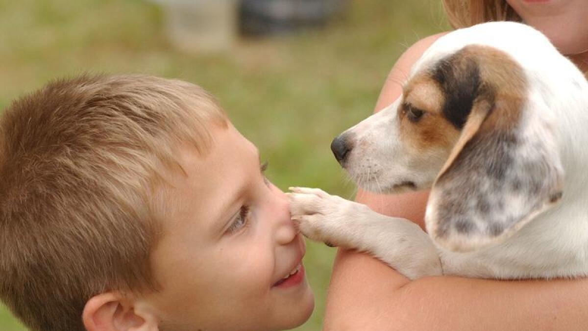 A puppy places a paw on the nose of its new owner