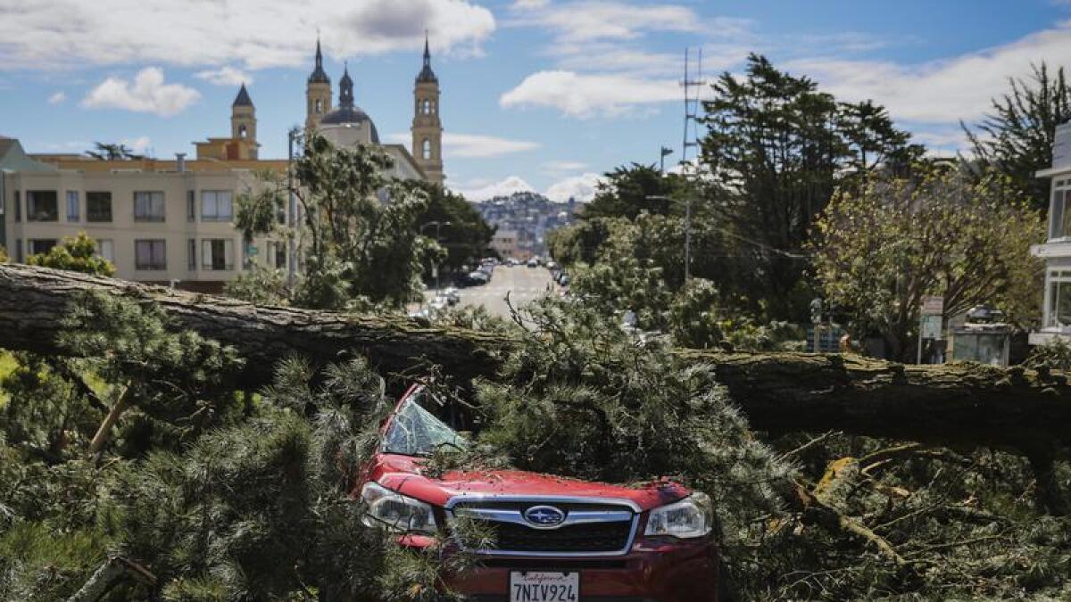 A tree lies on a car after heavy rainstorms in San Francisco