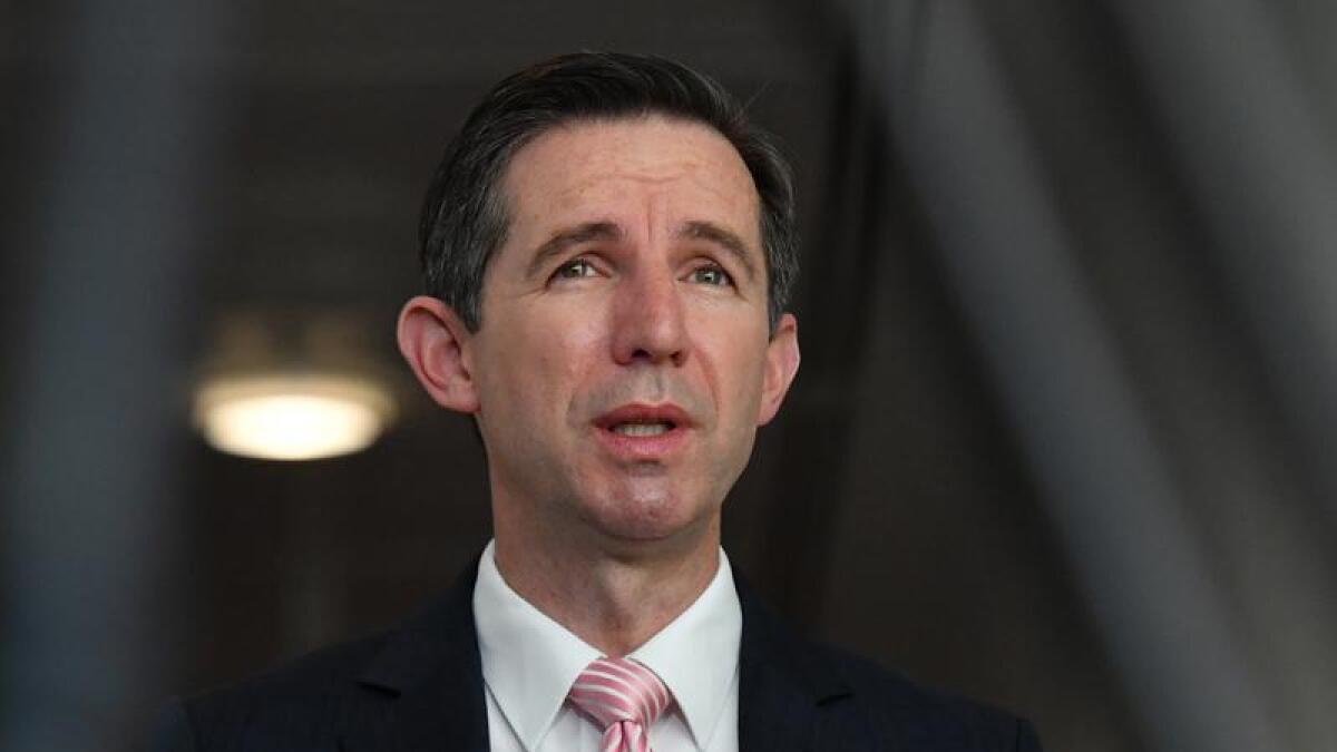 Simon Birmingham (file image)