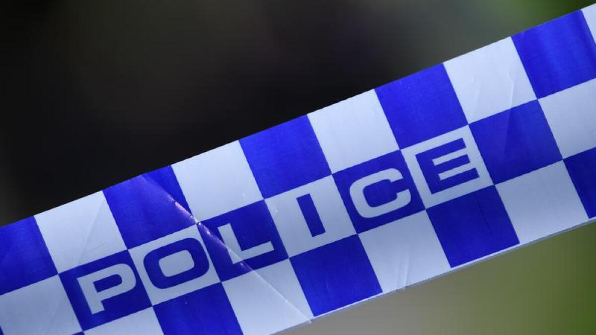 A woman has been killed by a falling tree in Tasmania.