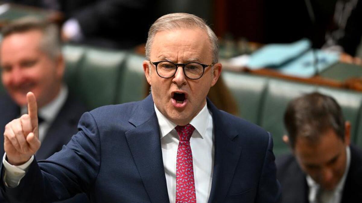 Prime Minister Anthony Albanese in parliament