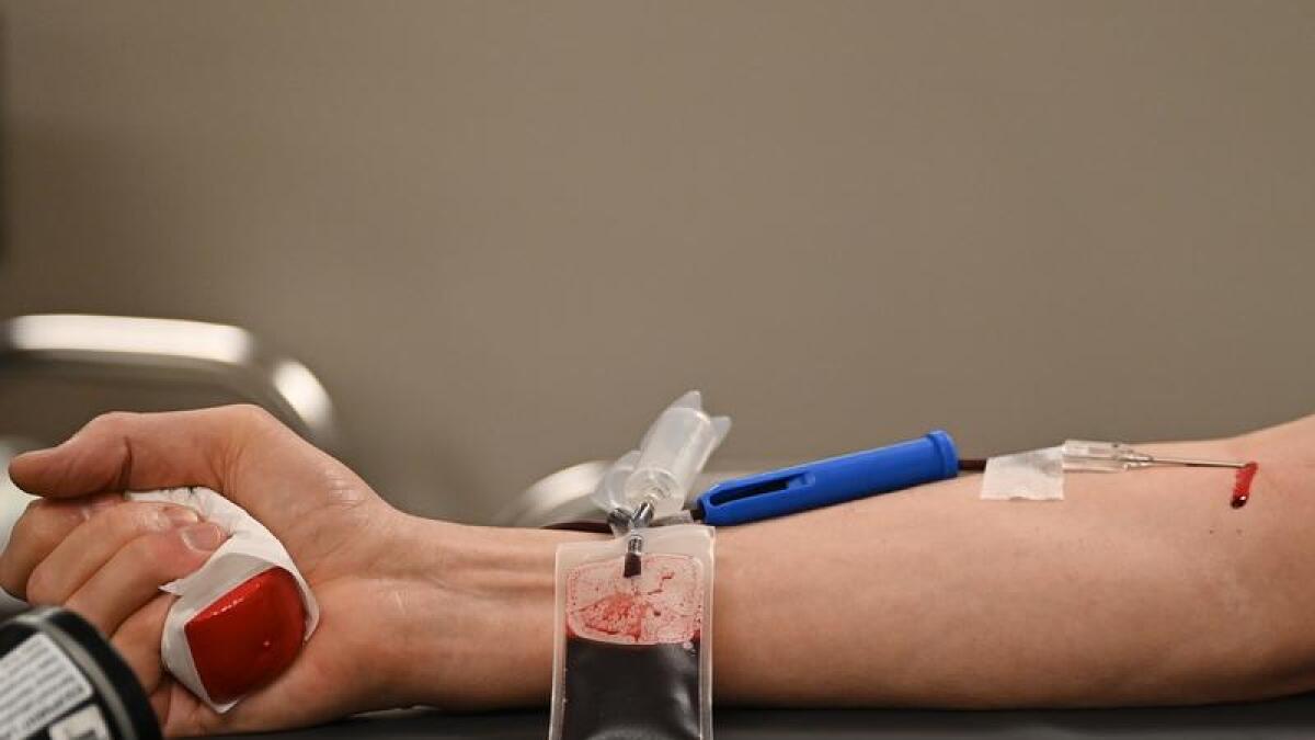 A person donating blood in Sydney