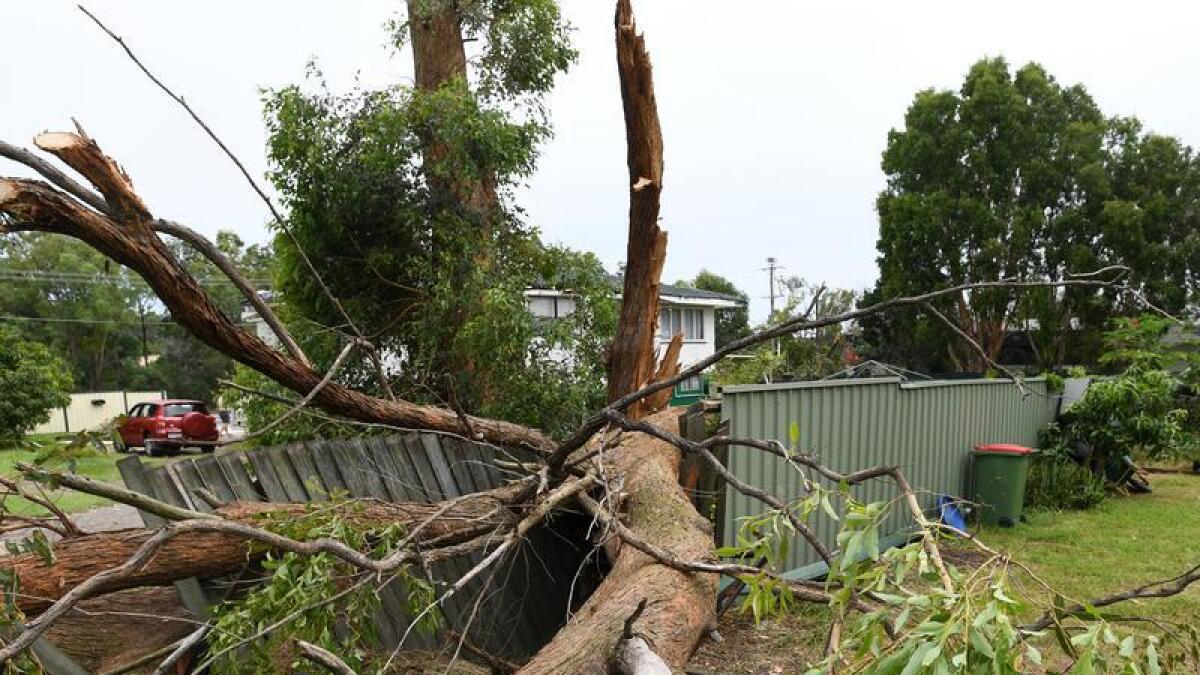 Storm damage in Logan City near Brisbane.