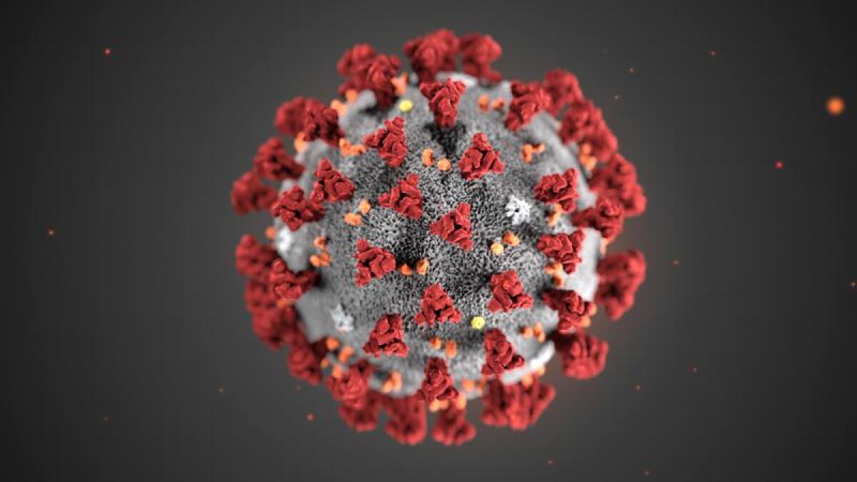 Coronavirus model