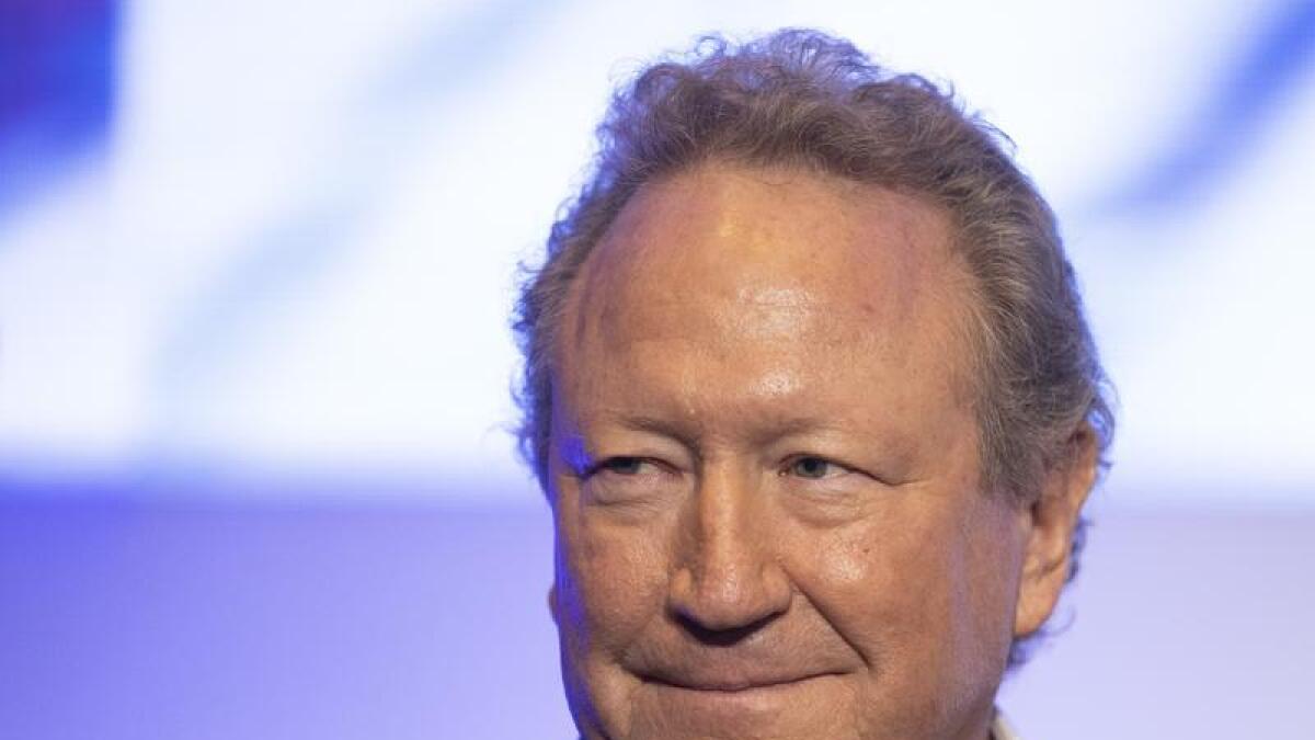 Fortescue Executive Chairman Andrew Forrest