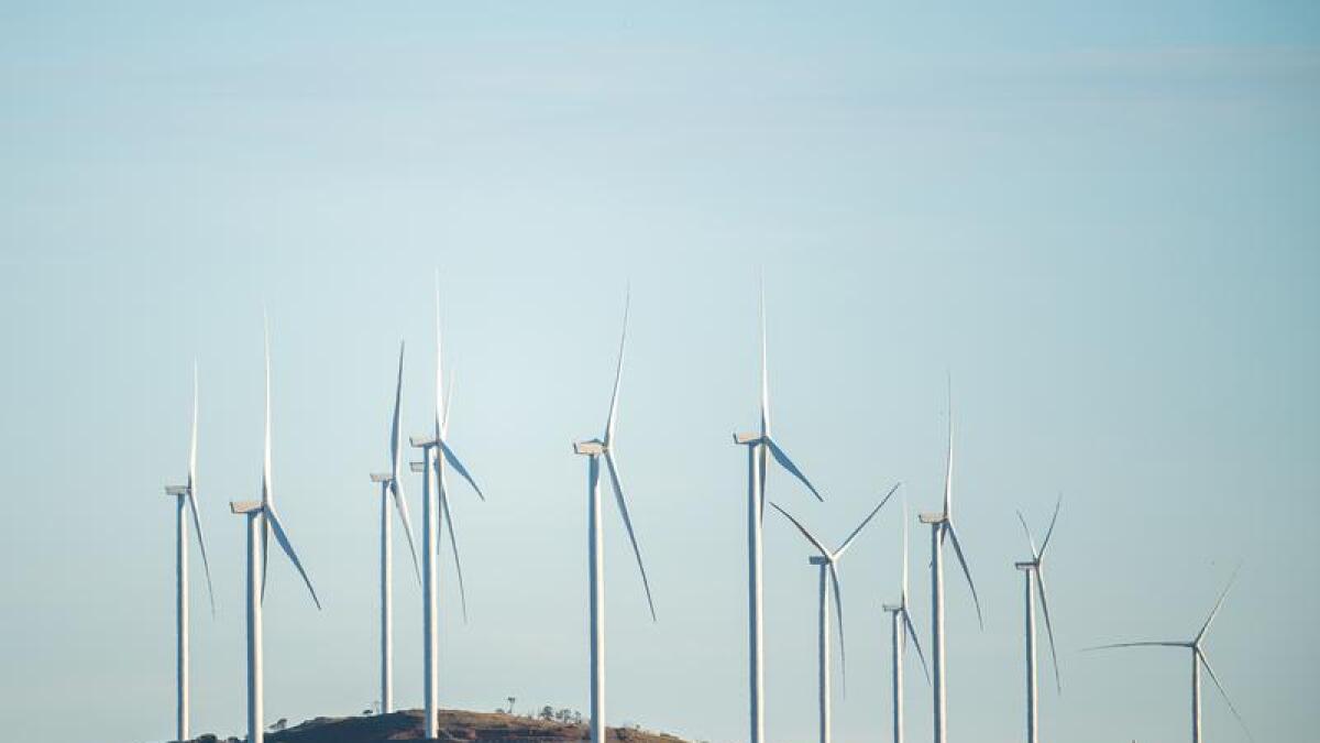 Wind turbines in western NSW.
