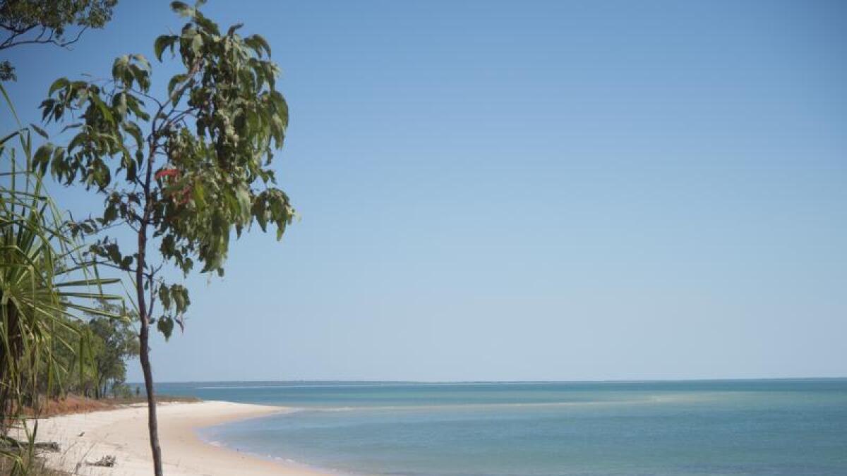 A beach on Melville Island.