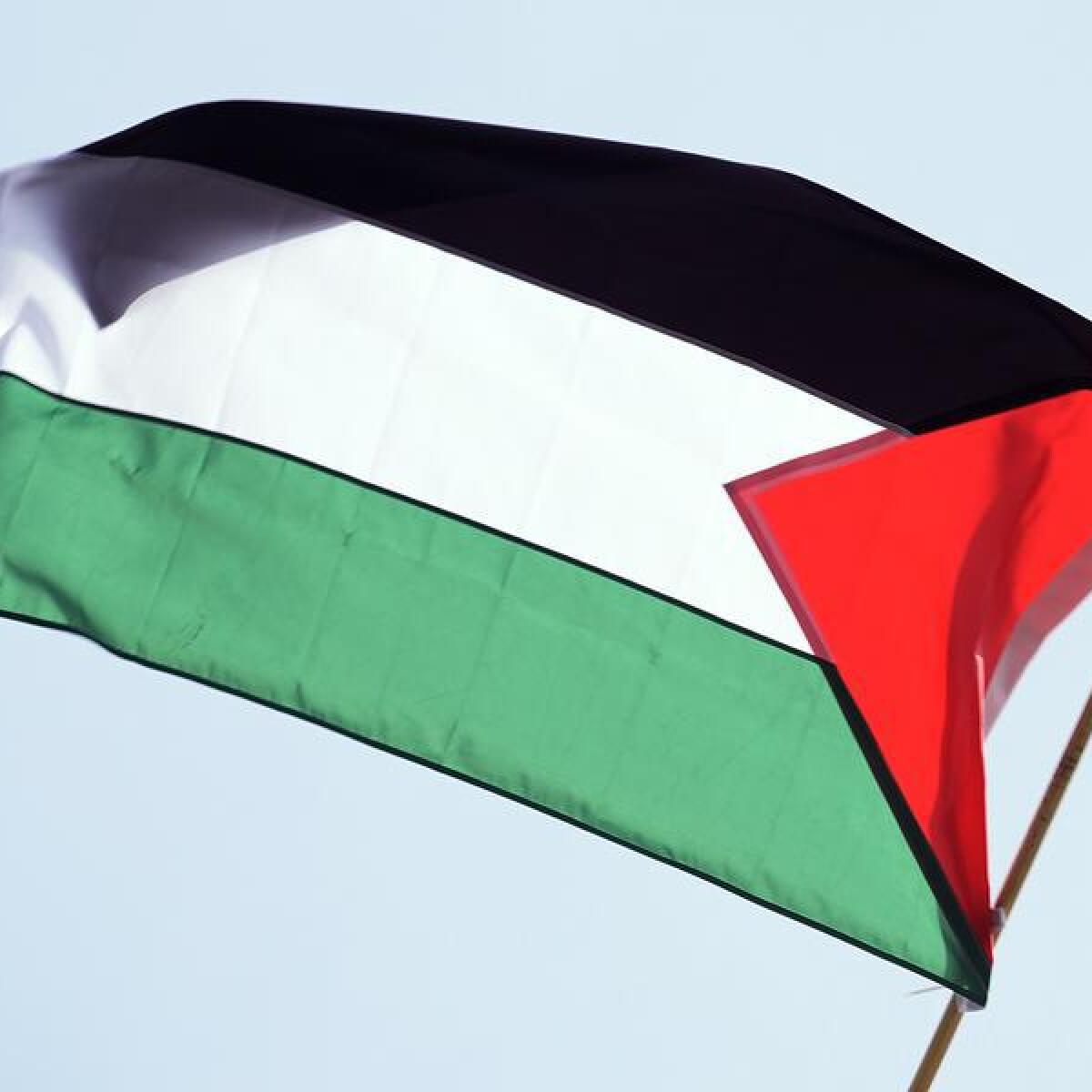 Palestinian flag (file image)