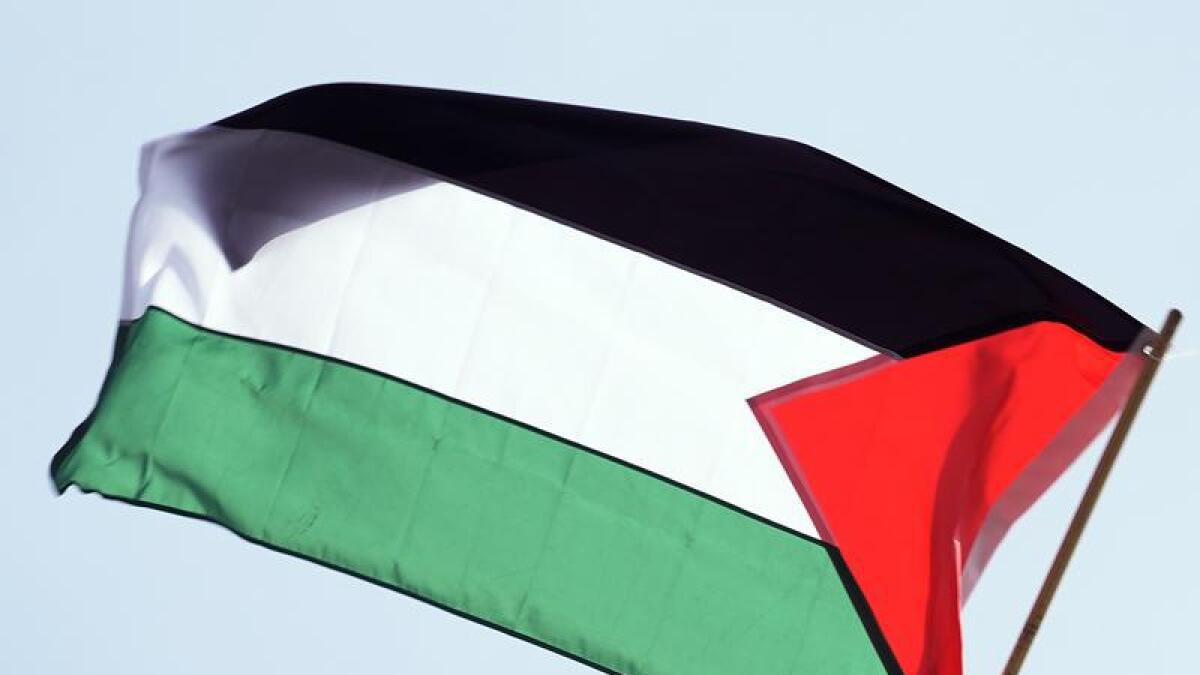 Palestinian flag (file image)